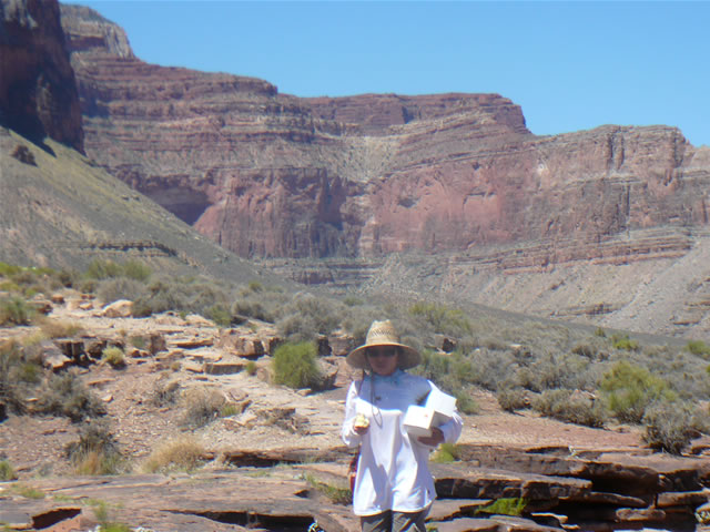 images/G- Lunch time.jpg